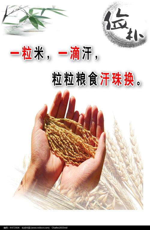 一比一仿东萨里学院文凭毕业证